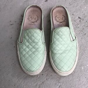 Del Toro Mules 